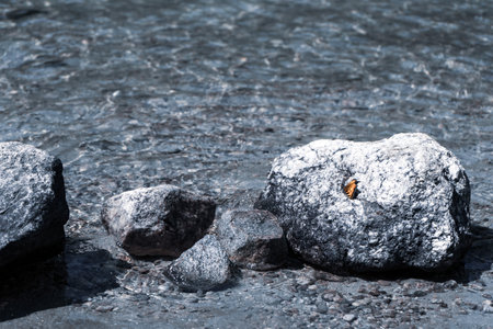 A closeup of the rocks on the shore.