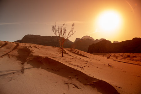 A beautiful shot of a desert during the sunsetの写真素材