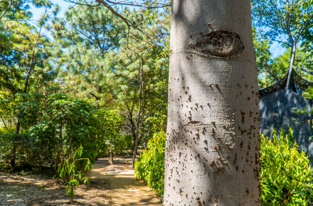 A photo of a botanical garden in Mexicoの写真素材
