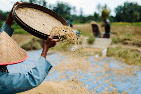 A closeup shot of a rice farmer working on a field