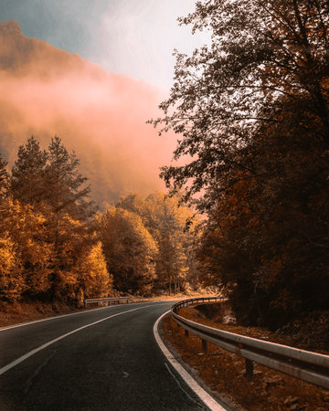 A vertical shot of a road in a forest during the sunset on a foggy dayの写真素材