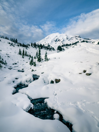 A vertical shot of the snowy Mt. Rainierの写真素材