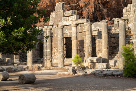 A sunlit view of walls and columns burned during the big Manavgat Fire in Antalya, Turkeyの写真素材