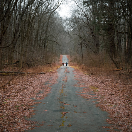 A couple walks down a path in winter.