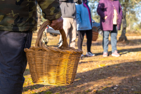 A man walking while holding a wheat basket for collecting mushrooms in the forest in autumn
