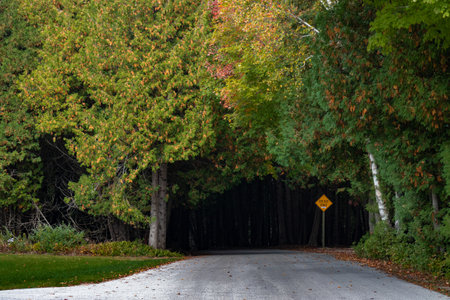 A road through an autumn forest in Door County, Wisconsin, the USA
