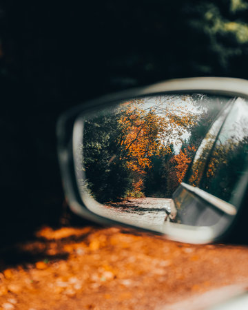 A beautiful shot of a car's mirror reflecting the forest in autumnの写真素材