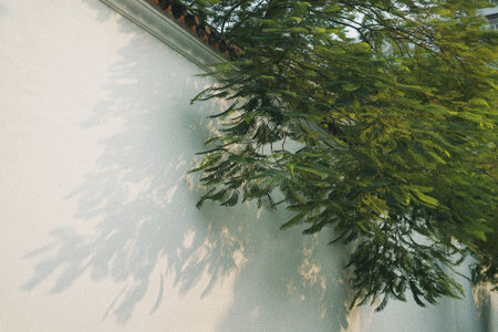 A closeup of trees and plants in a garden during daylight, artsy aesthetic