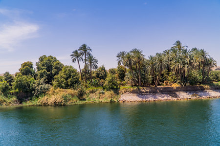 A panoramic view of a river or a lake with palms and other trees on the shore