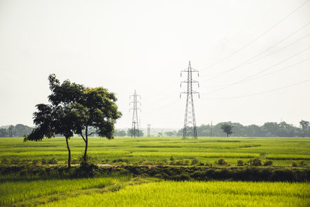A beautiful view of a green field and electrical poles in the background