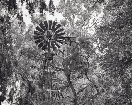 A grayscale shot of an old windmill in the parkの写真素材