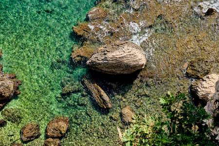 A mesmerizing shot of a seashore covered with moss and rocks