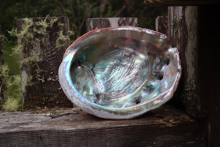 A close up shot of a large colorful abalone shell on a weathered fenceの写真素材