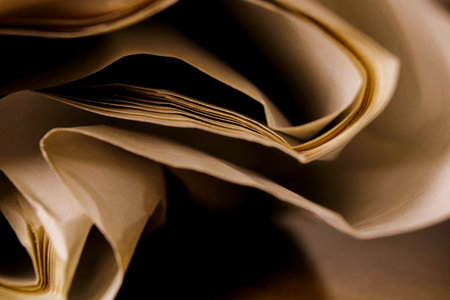 close up macro shot of details of old crumpled paper side view showing details of pulp fibers and lights and shadの写真素材