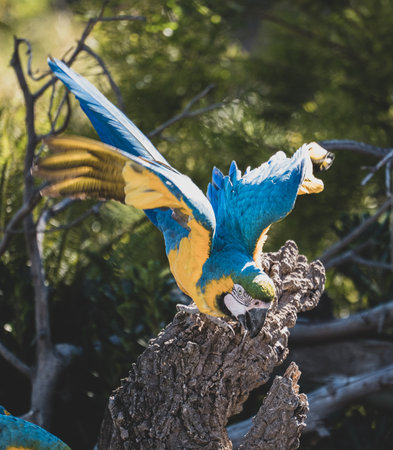 Loros con plumaje colorido posandoの写真素材