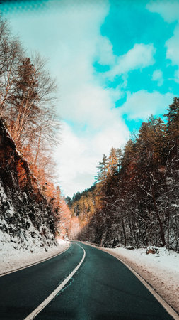 A beautiful shot of a road in a forest covered in snow in winteの写真素材