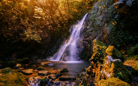 A beautiful day in the woods with a waterfall surrounded by lush greenery