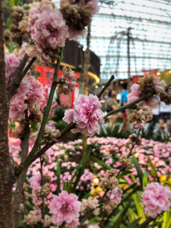 A closeup shot of beautiful flowersの写真素材