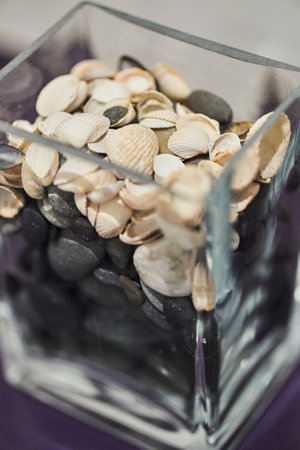 A closeup of seashells in a glass small vaseの写真素材