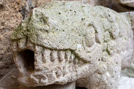 A closeup shot of the Gothic gargoyle of the castle of Portillo in Spainの写真素材