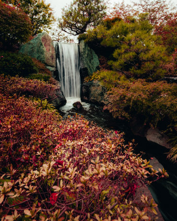 A vertical shot of a beautiful autumn landscape in St. Louis botanical gardensの写真素材