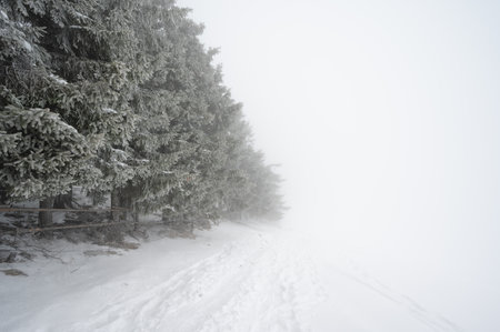 A foggy winter landscape on the Brandkogel mountain, Austriaの写真素材