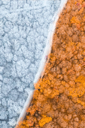 An aerial shot of a road in a forest covered in yellowing trees and snow - perfect for wallpapersの写真素材