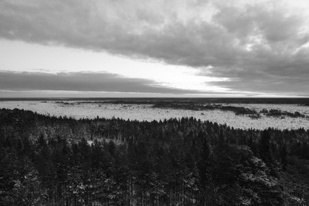 A grayscale shot of Tolkuse Raba landscape under a cloudy sky in Estoniの写真素材