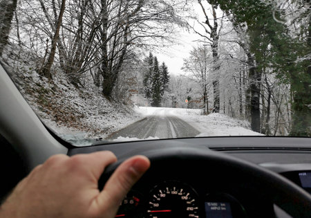 A view from the car on a snowy road with trees