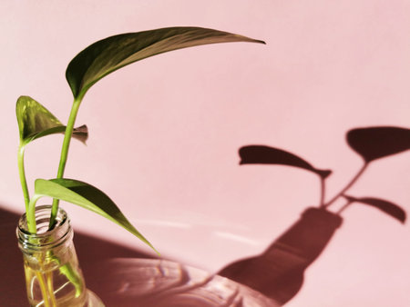 A closeup shot of a plant in a glass bottle on a light pink backgroundの写真素材