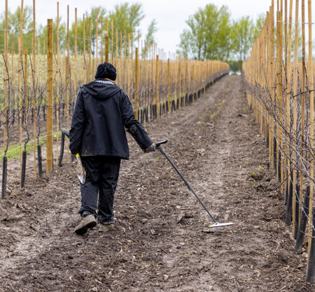 Searcing an apple plantation for ancient metal