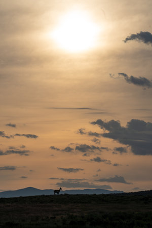 A vertical shot of a landscape under the cloudy skies and the sunの写真素材