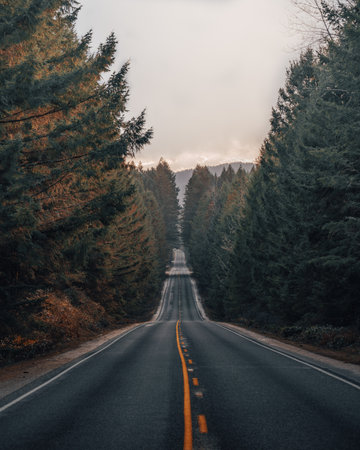 A vertical shot of a long road through rural mountain areas in Washingtonの写真素材