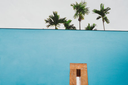 A scenic view of the leaves of palm trees grown behind a blue wall with a narrow window