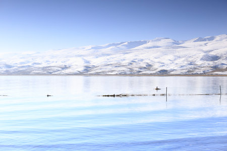 A scenic view of Qinghai Lake surrounded by snowy hills in Chinaの写真素材