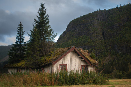 A beautiful view of a landscape with a wooden cabin surrounded by trees and greenery in Norway