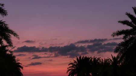 The beautiful pink sky during sunset, artsy aesthetic