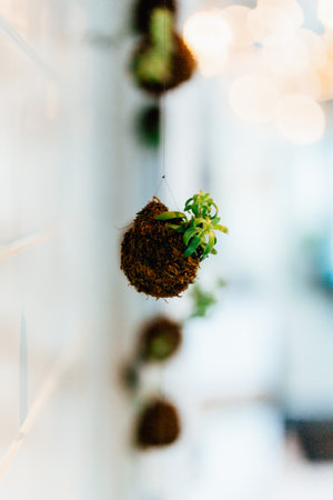 A vertical shot of a hanging planter with flowerの写真素材