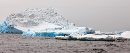 A panoramic shot of huddles of penguins on the ice in the ocean on a gloomy day in Antarcticaの写真素材