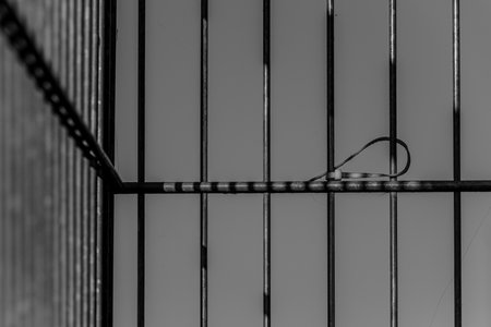 A grayscale view of prison bars