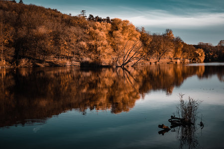 A beautiful view of the lake with forest backgroundの写真素材