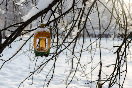 A closeup of a bottle bird feeder in winterの写真素材