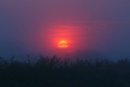 A beautiful shot of a sunset skyの写真素材