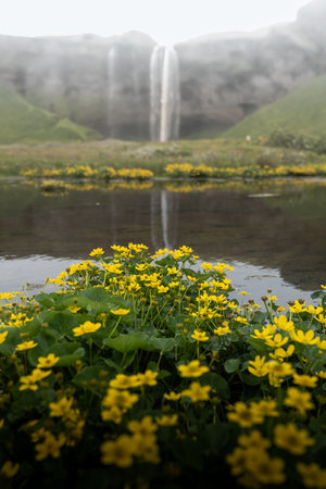A vertical shot of the Seljalandsfoss waterfall in a rural area in Iceland