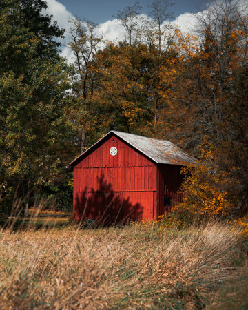 A beautiful small house in the forest full of bright orange trees in autumn