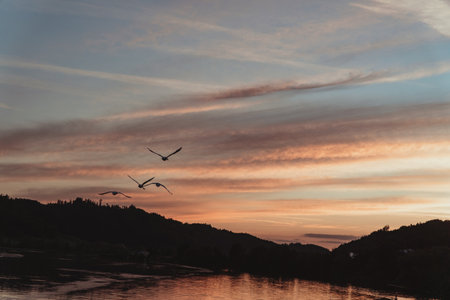 The beautiful sunset over a lake, with birds flying above itの写真素材