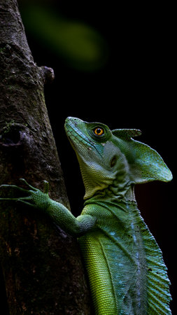 A vertical closeup shot of a plumed basilisk on a blurred background