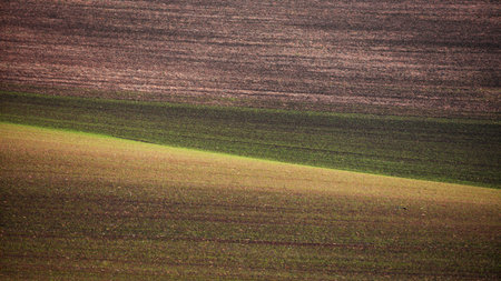 A closeup of lines and contour of the hills of Moravia in the Czech Republic