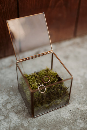 The wedding rings on a succulent in a glassy boxの写真素材