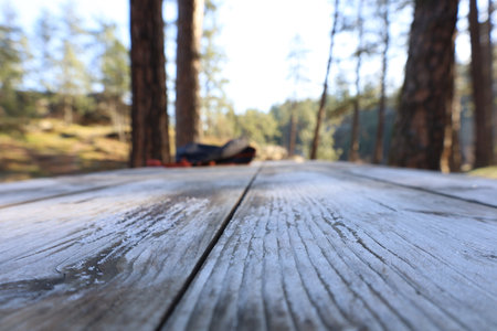 The wooden surface on the nature backgroundの写真素材